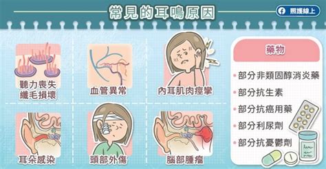 頭轉動耳朵有聲音|耳鳴非老化現象！你ㄧ定要知道的耳鳴十大病因